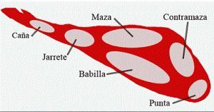 Partes del Jamón