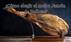 ¿Cómo elegir el mejor Jamón de Bellota?