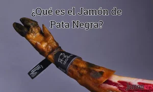 ¿Qué es el jamón de pata negra?