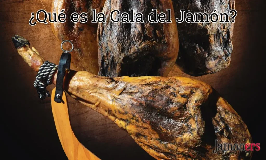 qué es la cala