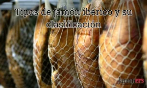 Tipos de jamón ibérico y su clasificación